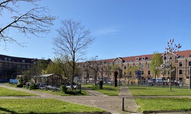 Headerbeeld Rotterdam Spangen 2